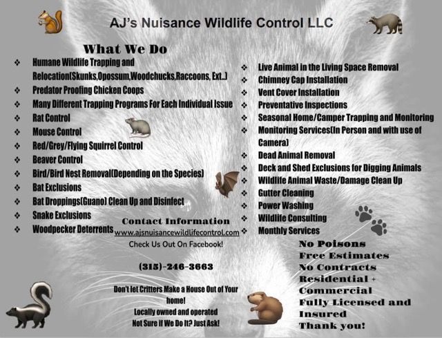 An advertisement for aj 's nuisance wildlife control