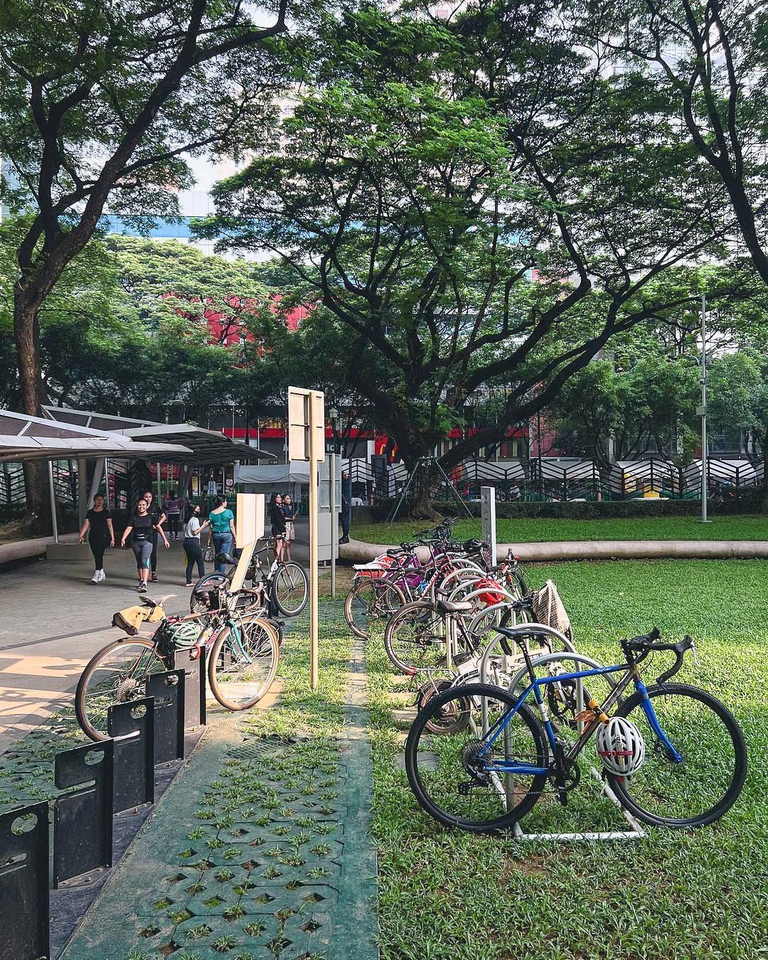 A row of bicycles are parked at Ayala Avenue