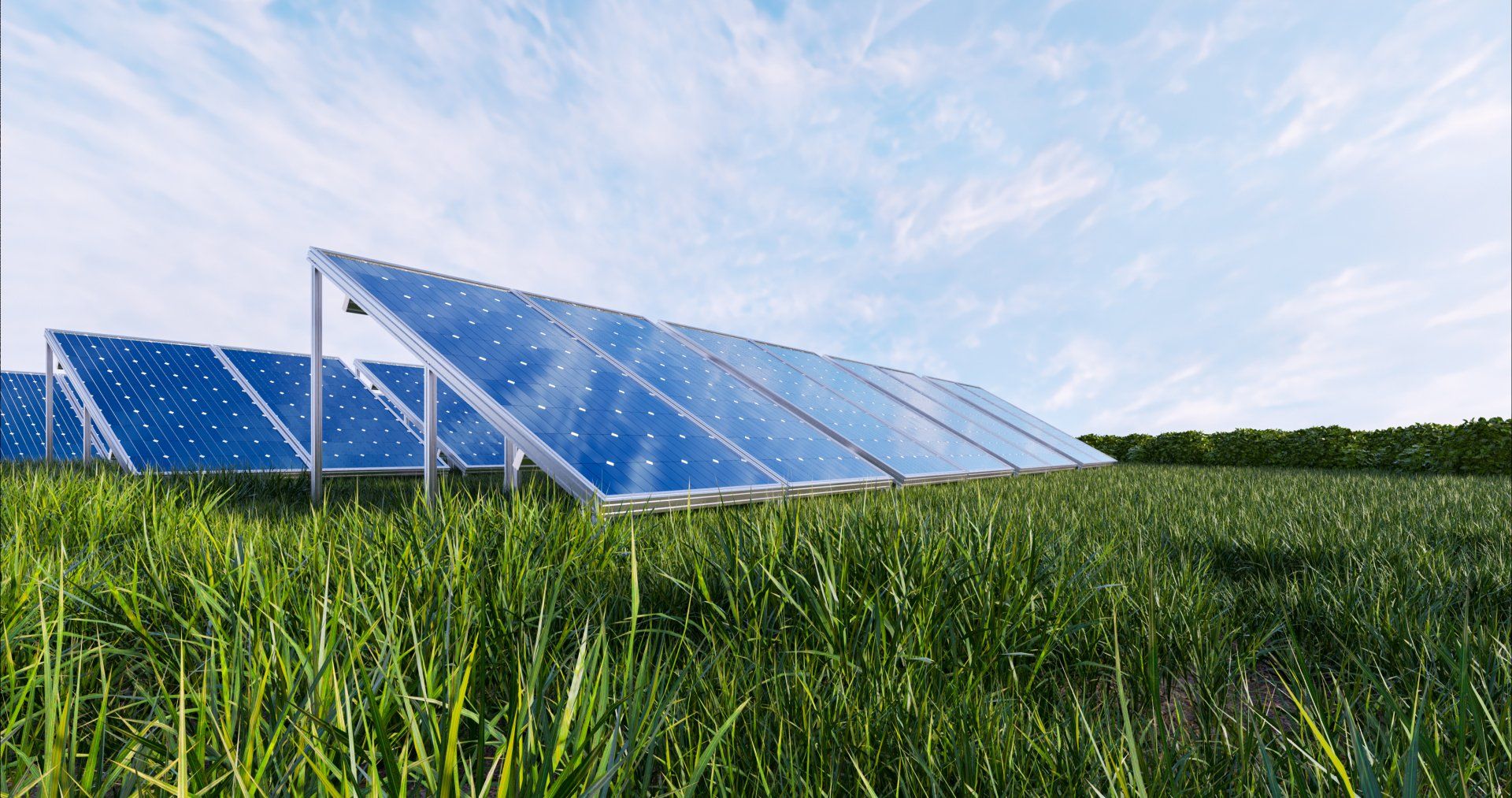 solar panels with green grass
