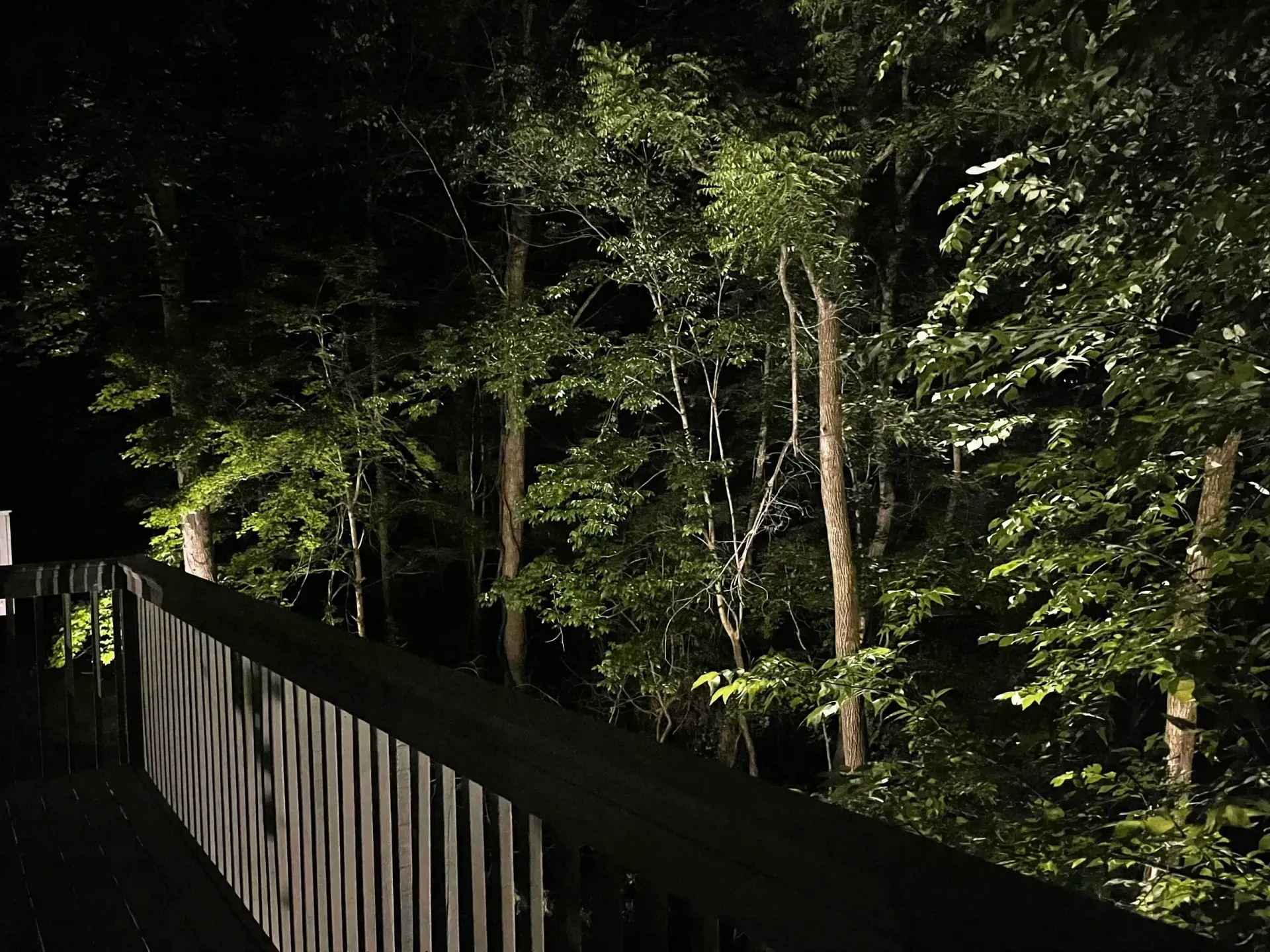 A wooden fence is surrounded by trees at night.