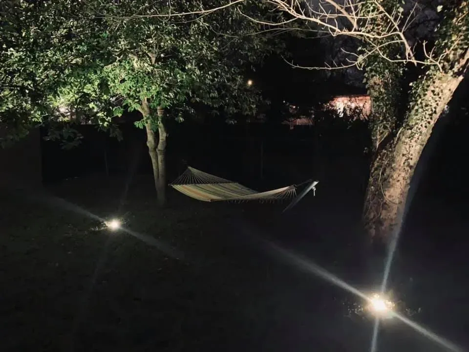 A hammock is hanging under a tree at night.