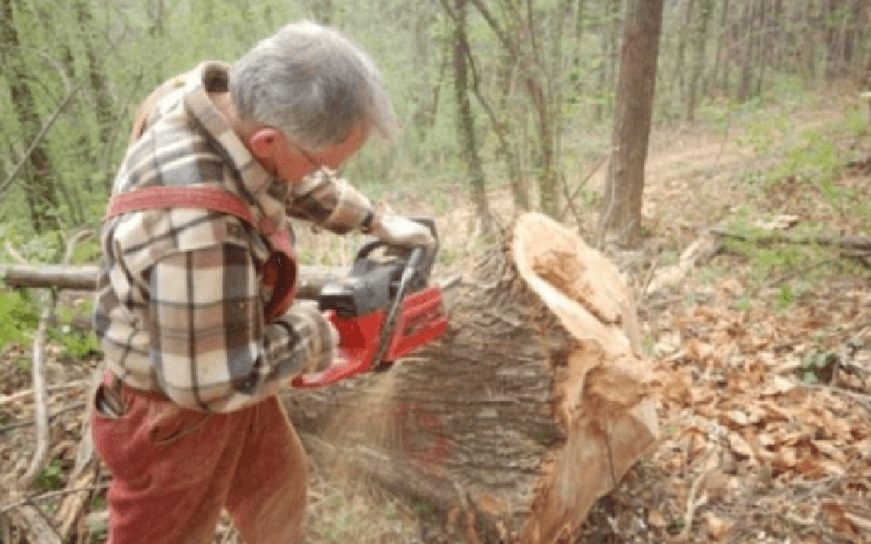 taglio legna
