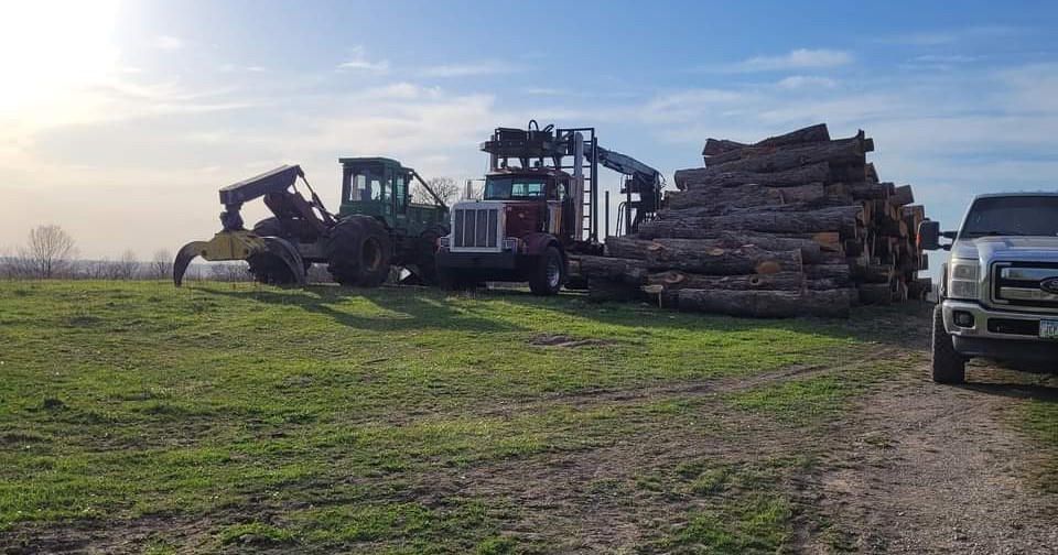 A chainsaw is sitting on top of a tree stump in the woods.