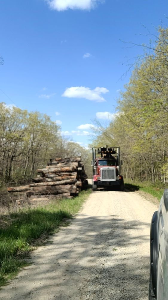 A truck is driving down a dirt road next to a pile of logs.
