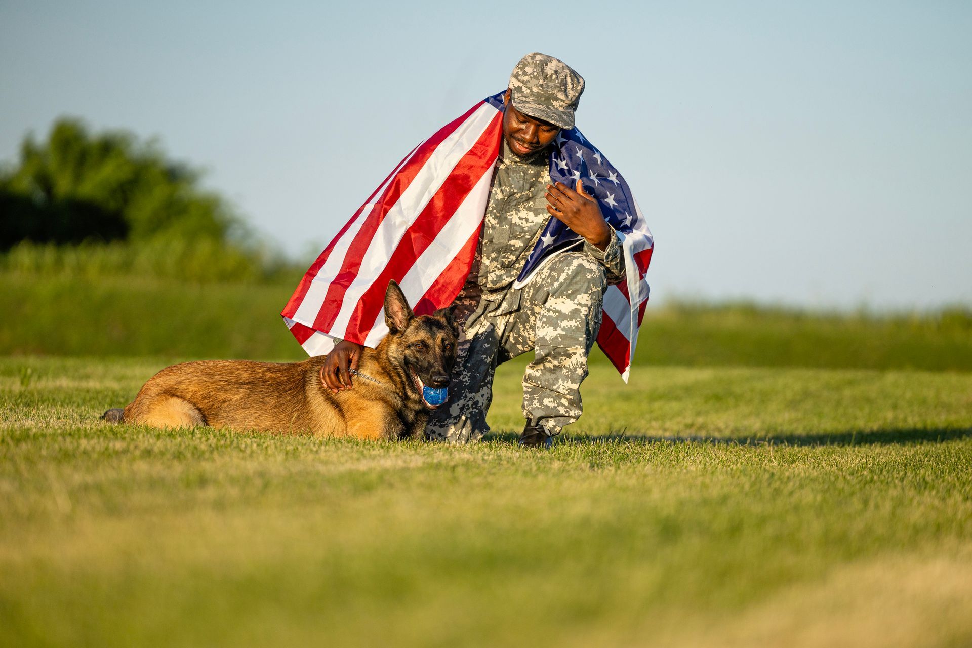 Soldier kneels with dog, draped in US flag, on grassy field.