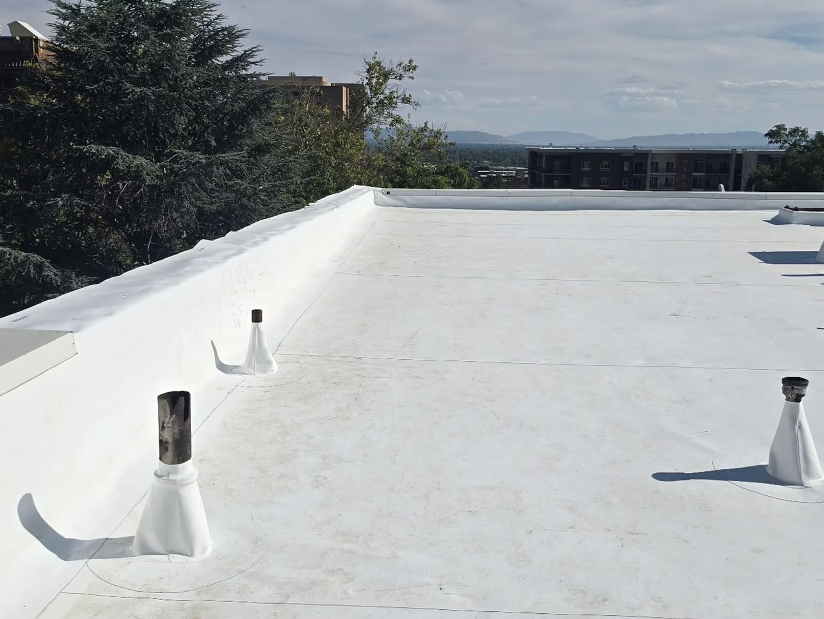 White flat roof with vents; trees and buildings in the background. Bright, sunny day.