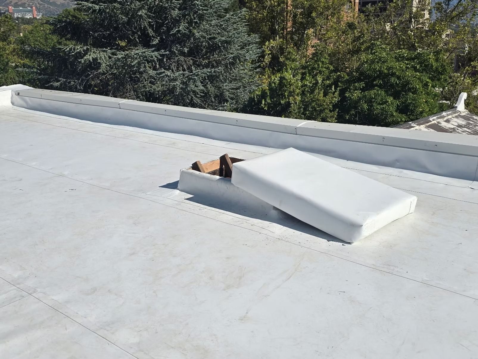 White roof with open rectangular hatch; trees in the background.