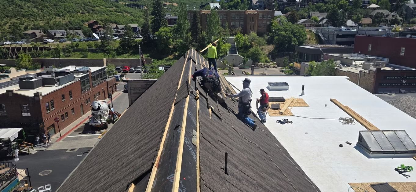 Roofers working on a building roof in a city setting. Green trees and other buildings in the background.