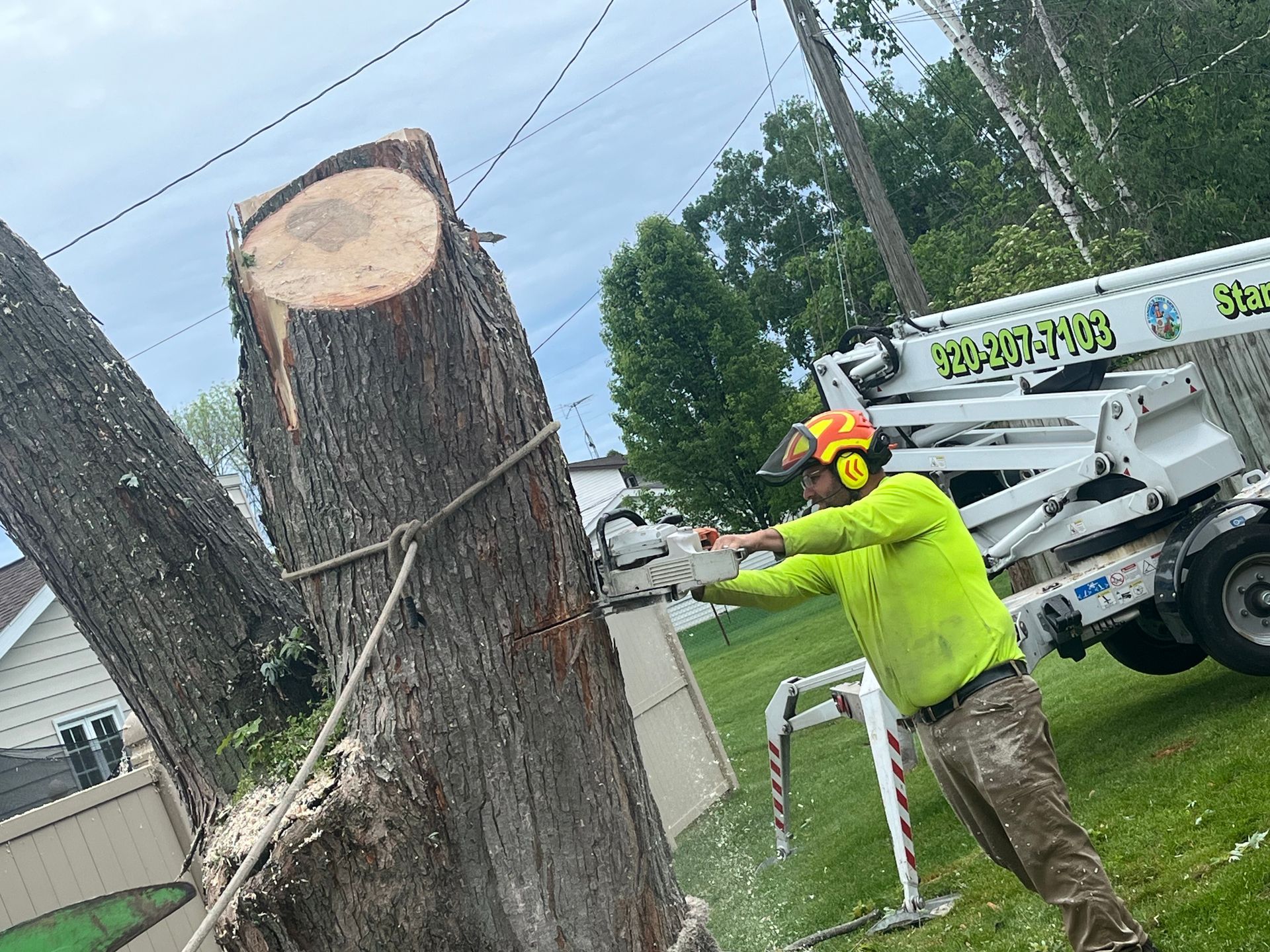 Arborist cutting a tree trunk with a chainsaw; wearing safety gear. A lift is in the background.
