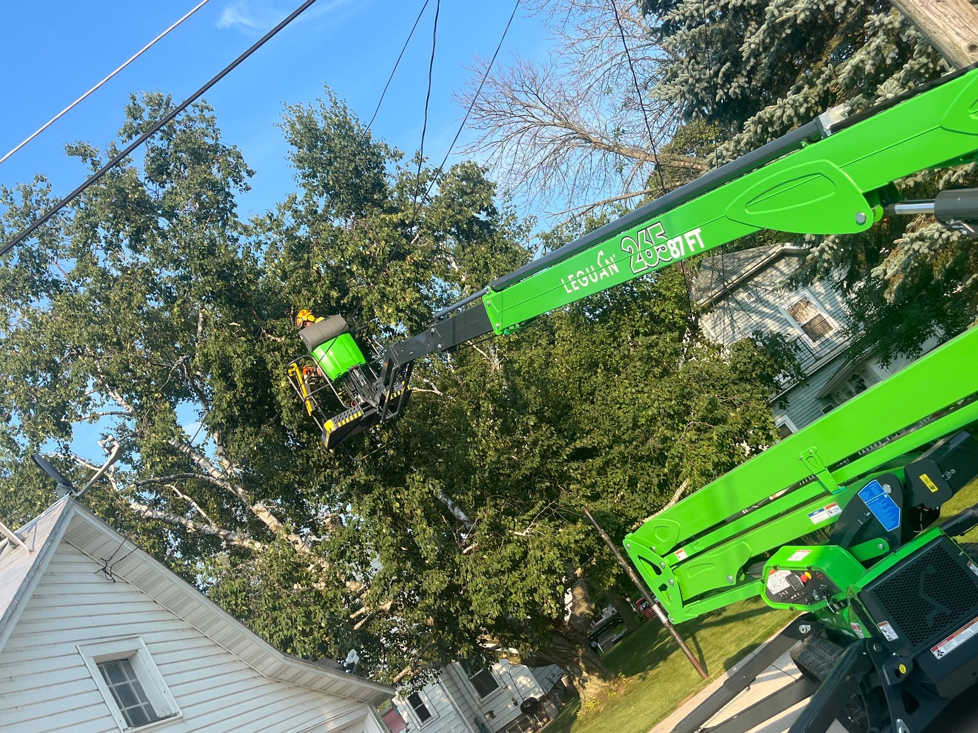 Green tree trimming equipment cutting tree branches near a house.