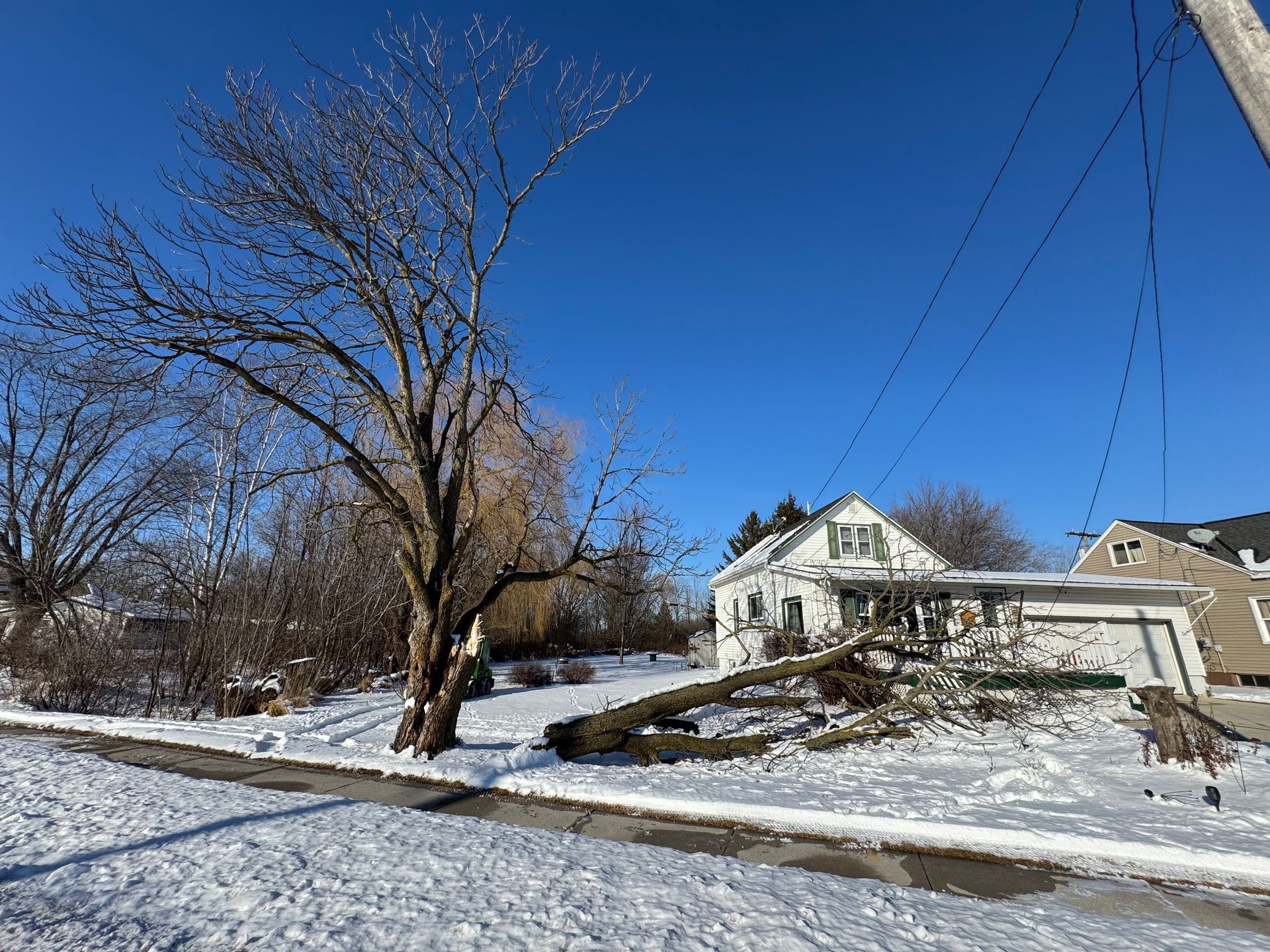 Snowy scene: fallen tree on a house lawn, branches scattered. Clear blue sky, bare tree, power lines, white house.