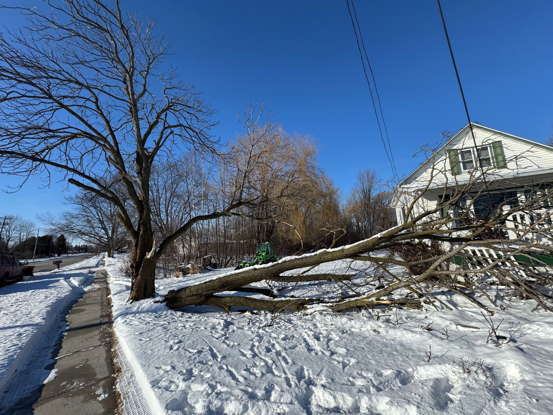 Fallen tree on snow-covered yard near a house and sidewalk on a sunny day.