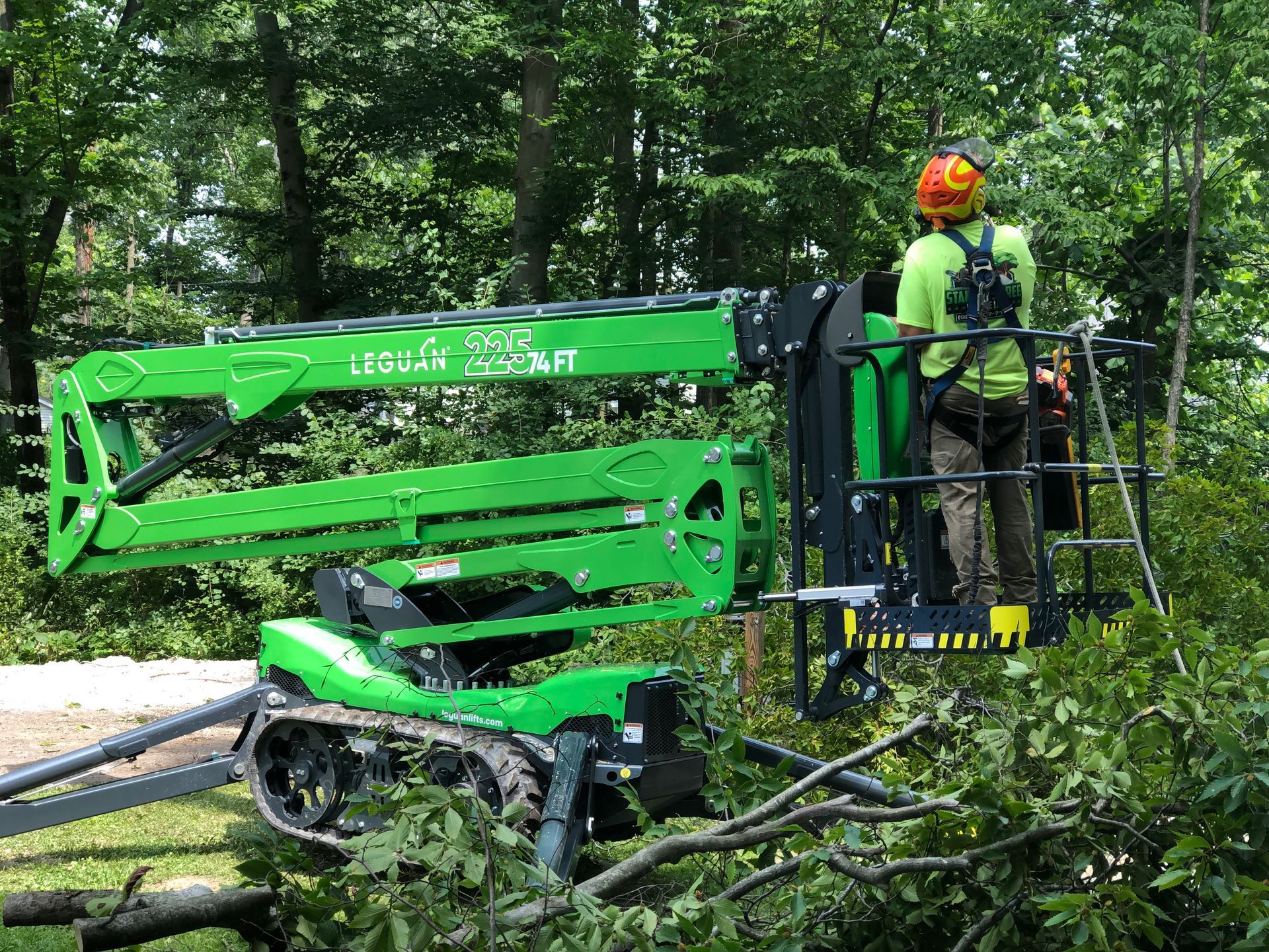 Green tree-trimming lift with worker in harness cutting branches in a forest.