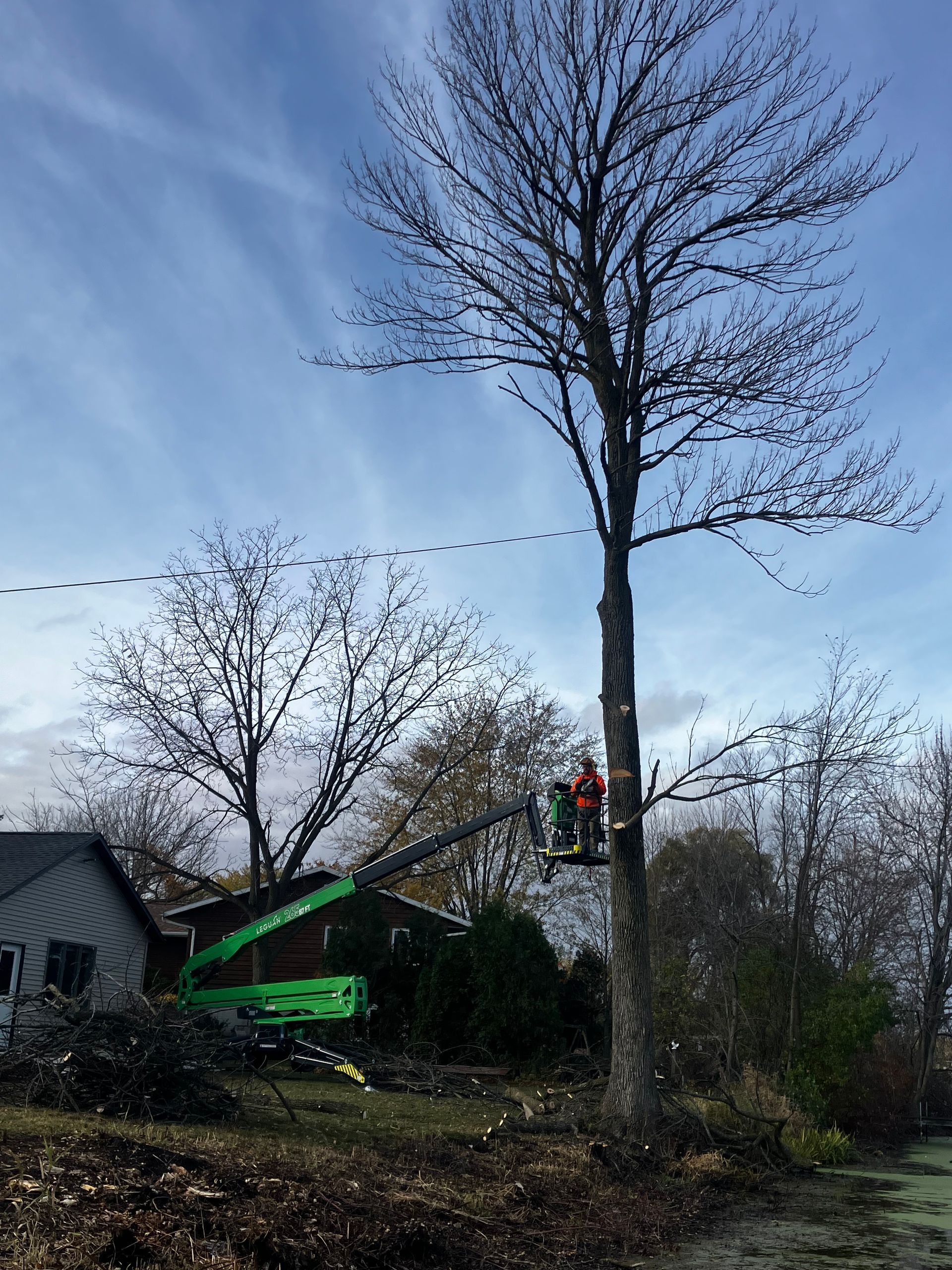Tree removal: Person in a green lift trims a tall, bare tree near a small building on a sunny day.