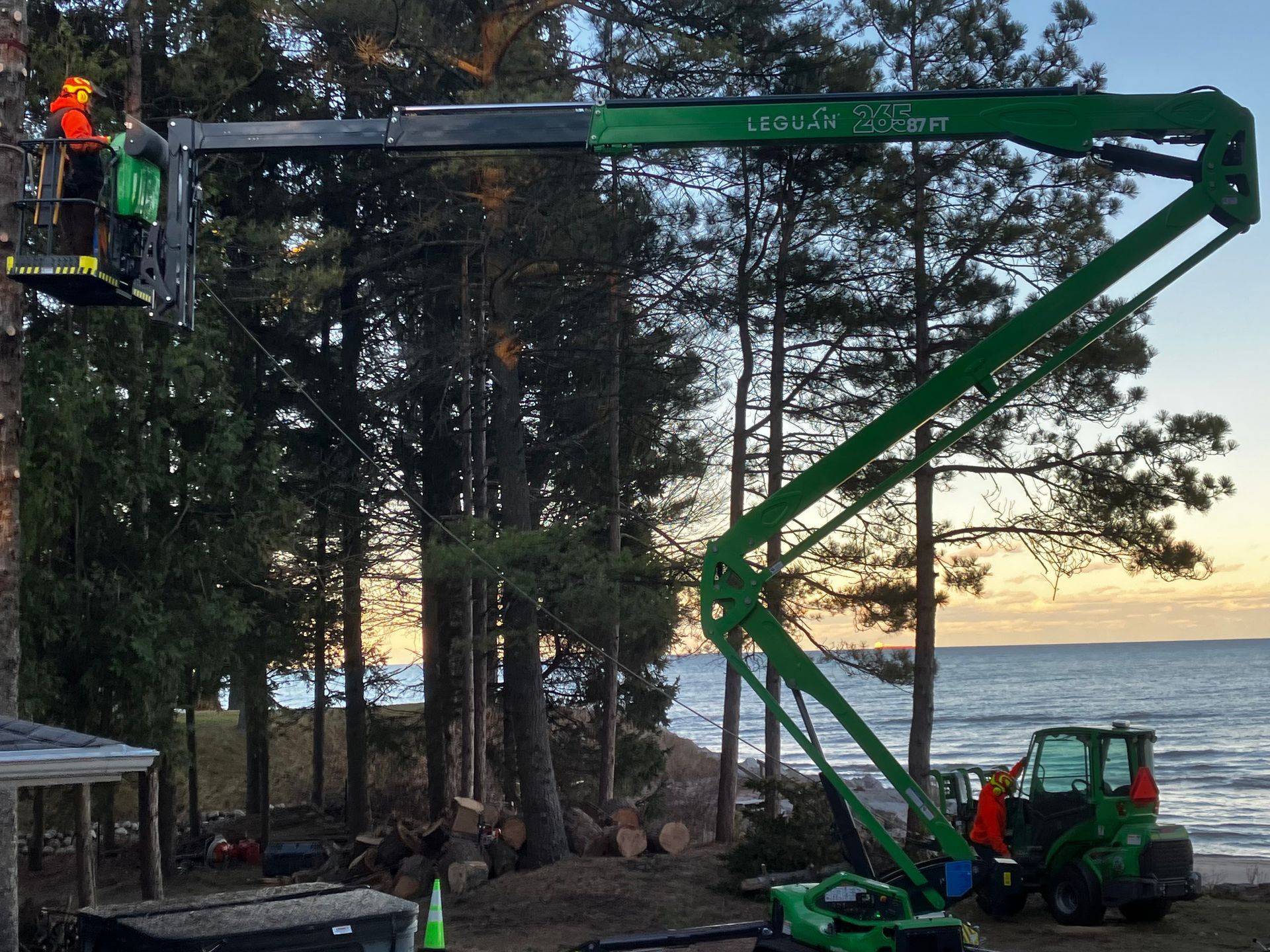 Man in lift bucket trimming a tree, near water, with a green lift truck.