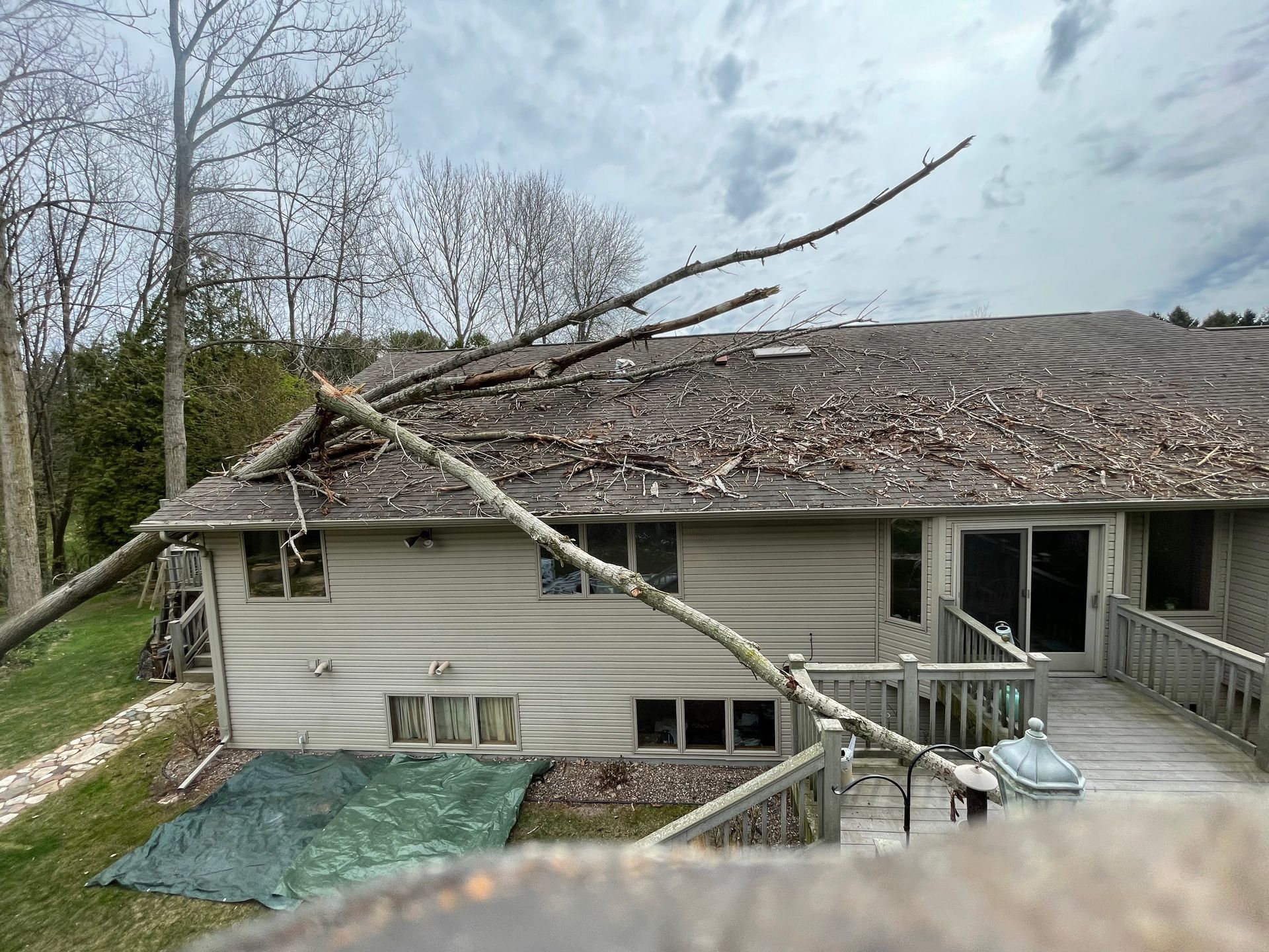 Tree branches rest on the roof of a beige house covered in leaves, with a deck in the yard.