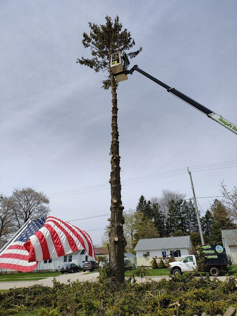 Tree trimming: worker in lift trims tall tree, American flag in background.