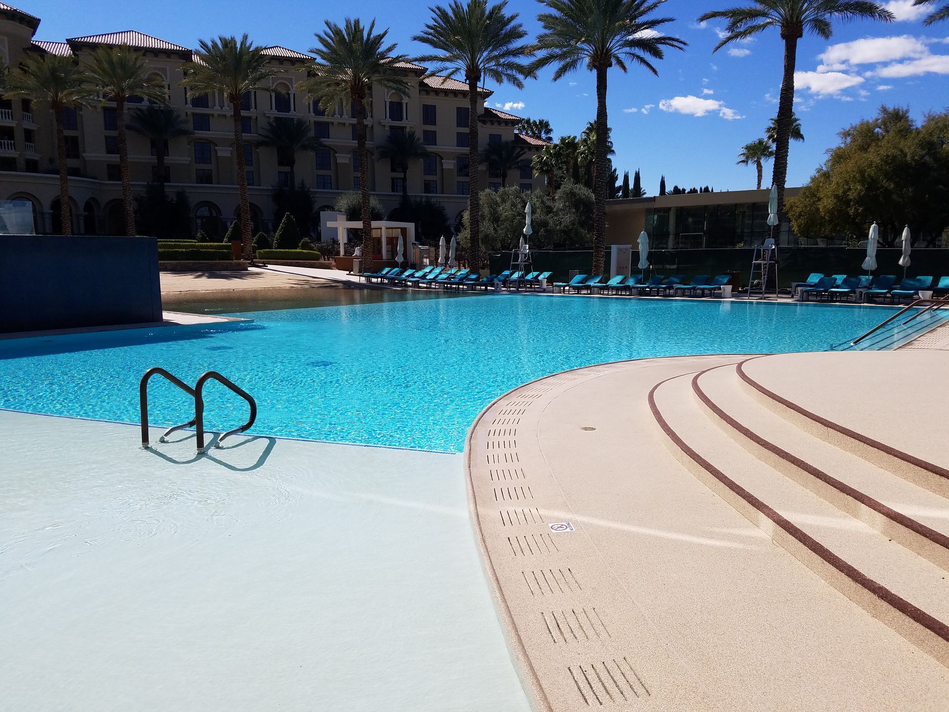 A large swimming pool with palm trees in the background