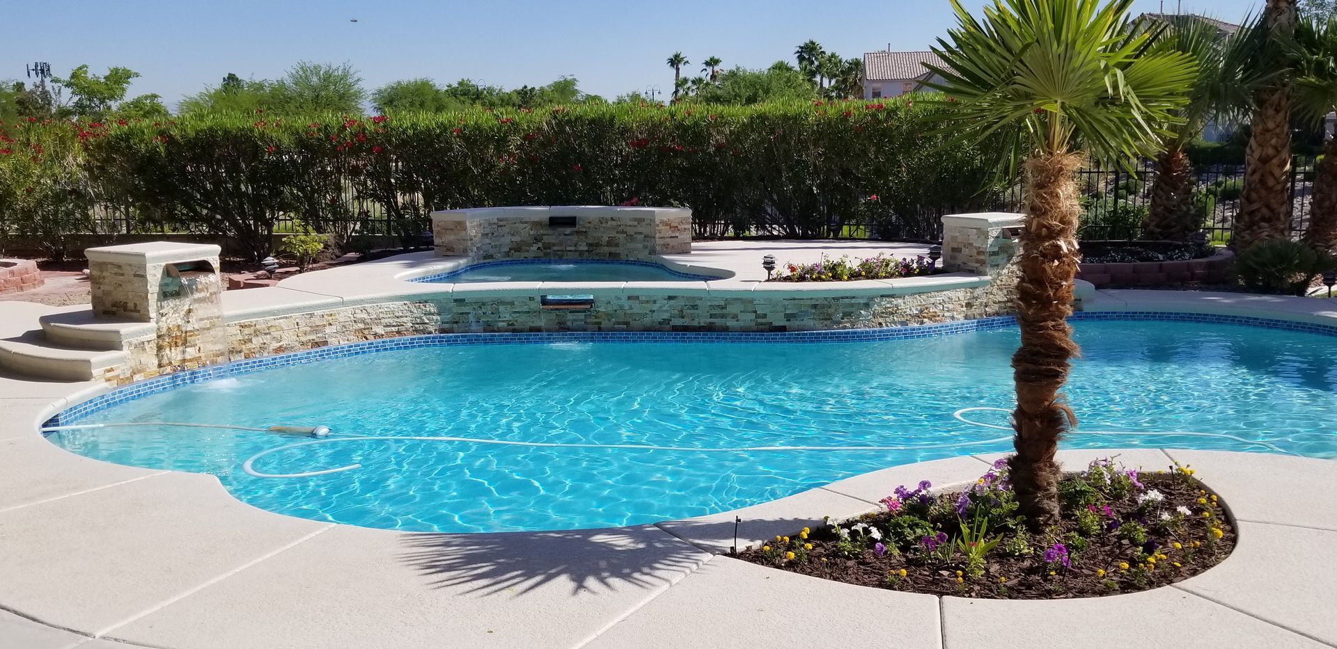 A large swimming pool with a palm tree in the middle.