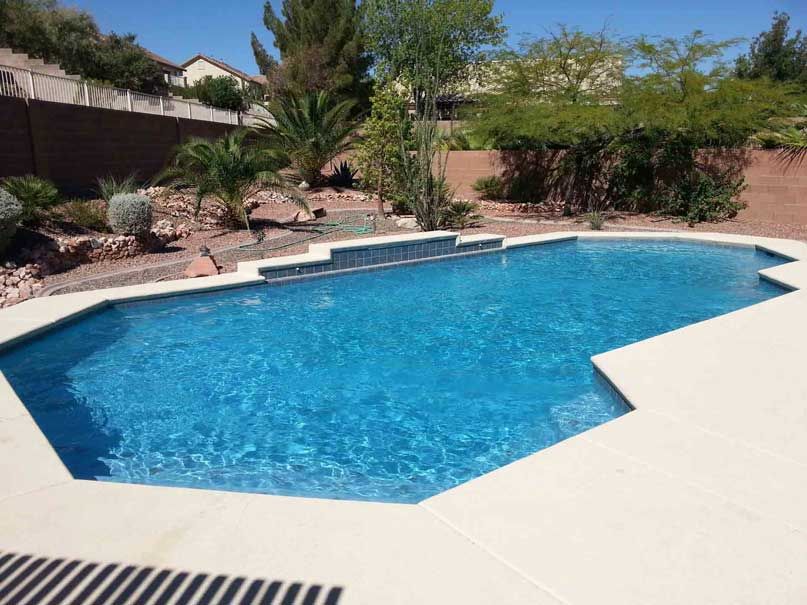 A large swimming pool surrounded by trees and bushes in a backyard.