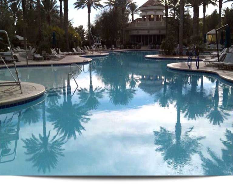 A large swimming pool with palm trees in the background