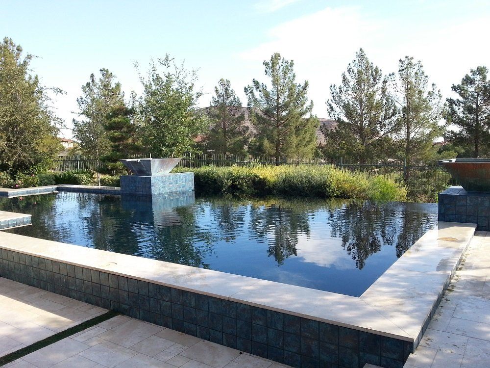 A large swimming pool surrounded by trees on a sunny day