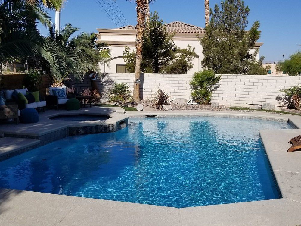 A large swimming pool in a backyard with palm trees in the background