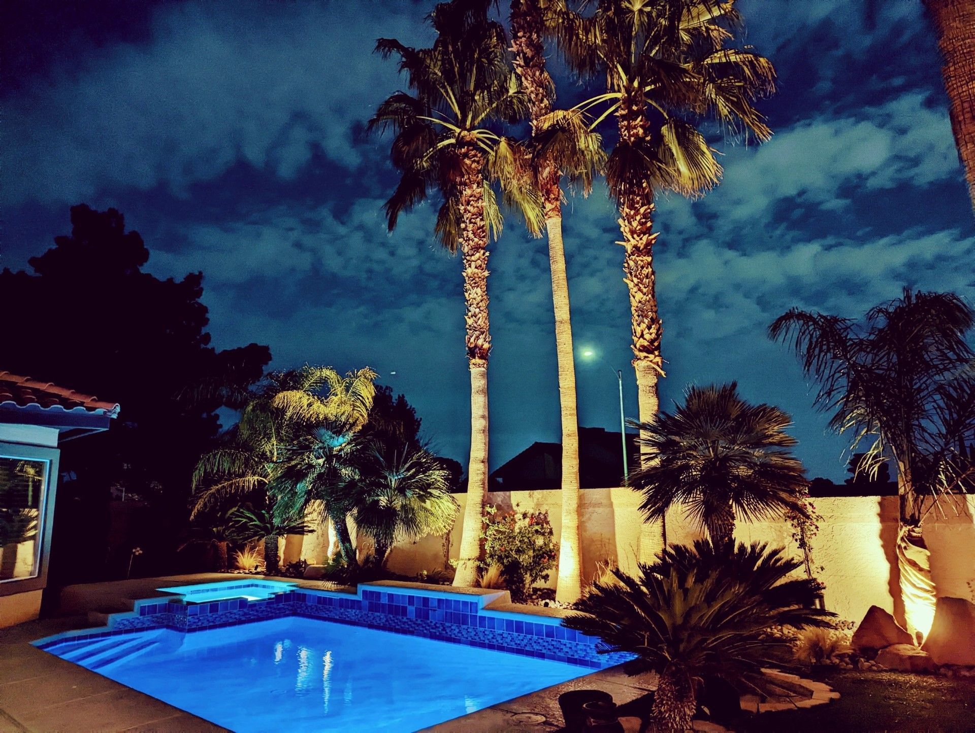 A swimming pool is lit up at night with palm trees in the background