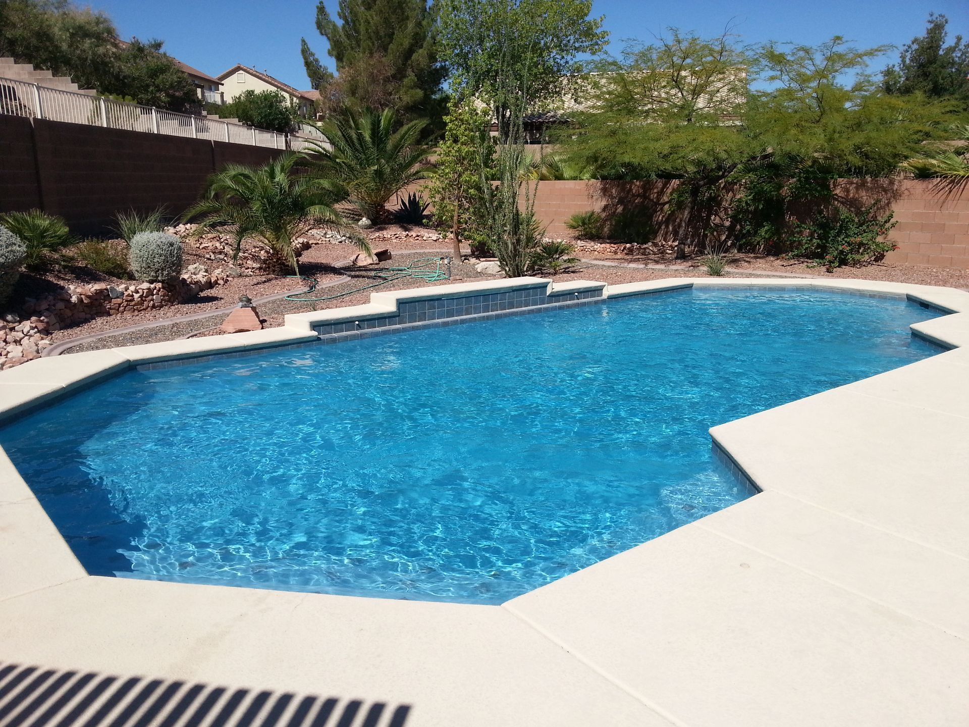 A large swimming pool is surrounded by trees and bushes