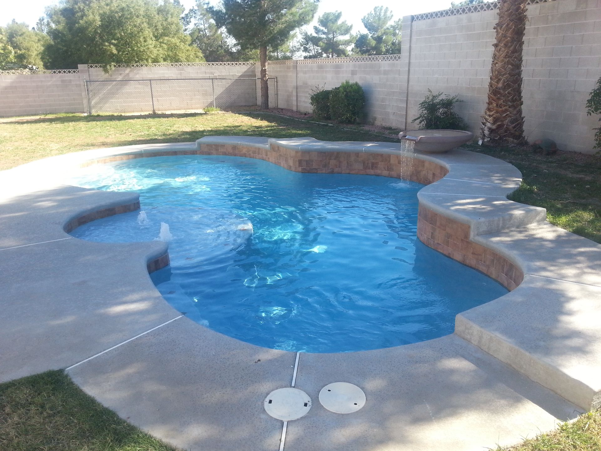 A large swimming pool in a backyard with a fence in the background