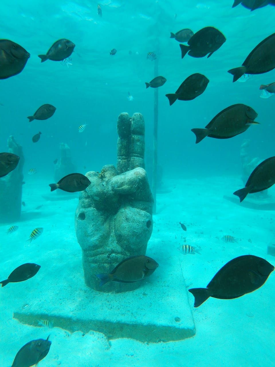 catamaran fragata cancun