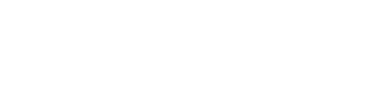 Thiemann Elektromaschinenbau Logo