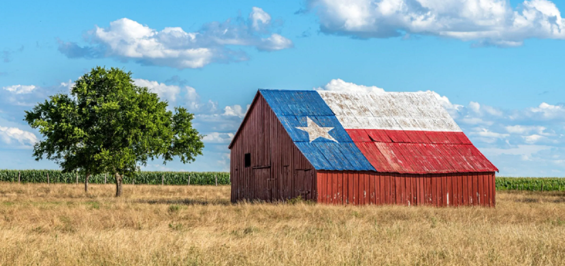 texas land deals