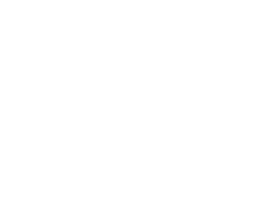 community foundation alliance logo