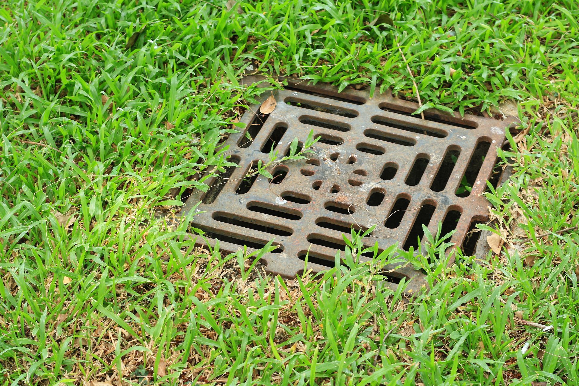 Square metal drain cover with grid pattern, embedded in ground, surrounded by green grass.