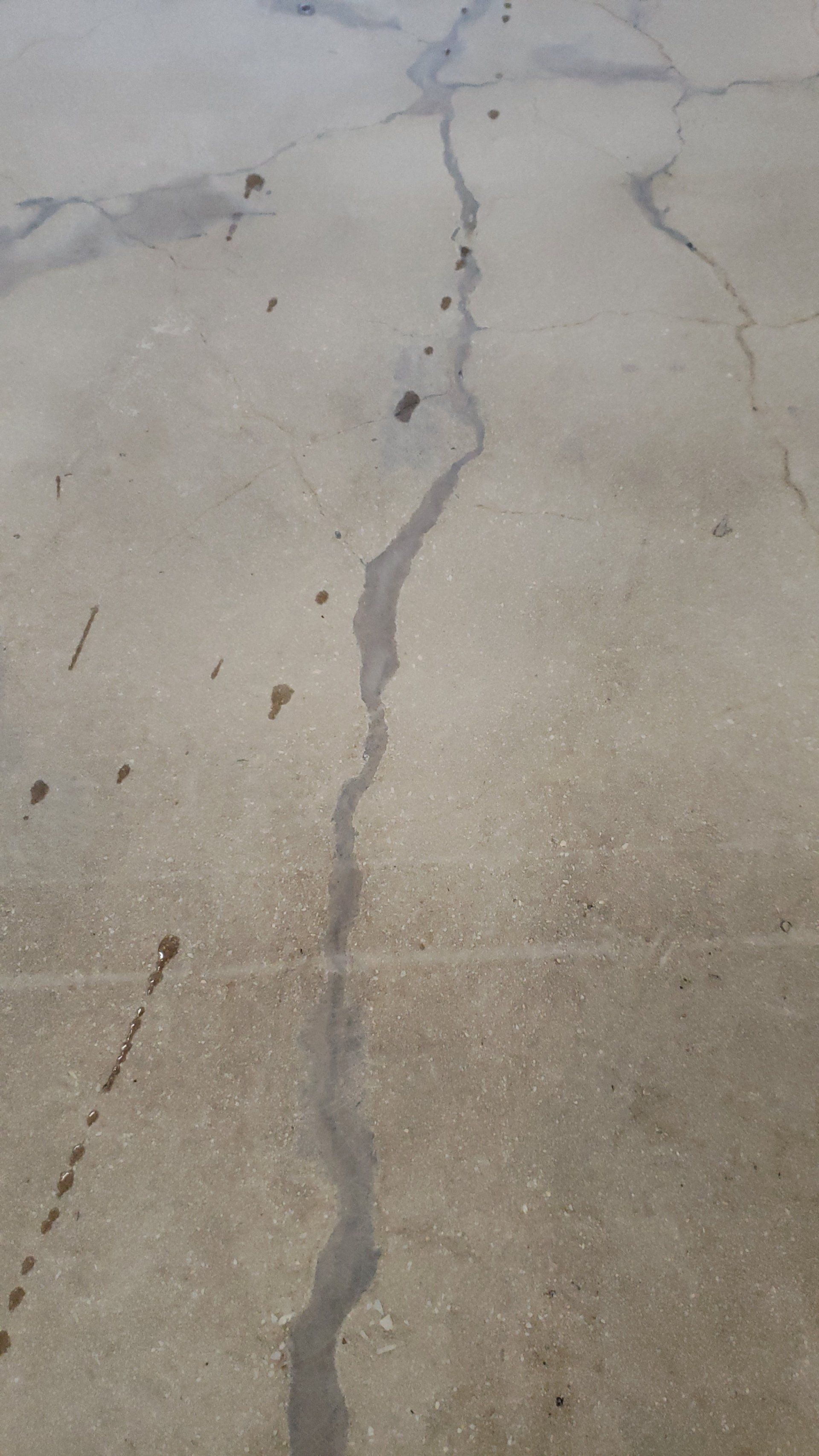 Gallery New Braunfels, TX Affordable Stained Concrete