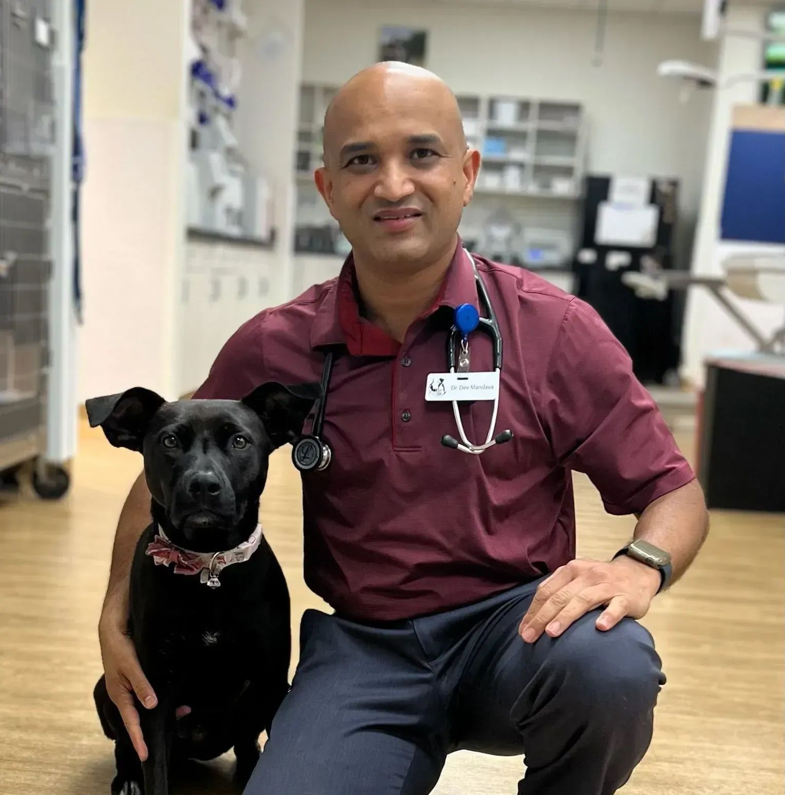 Dr. Dev Mandava, DVM, MS