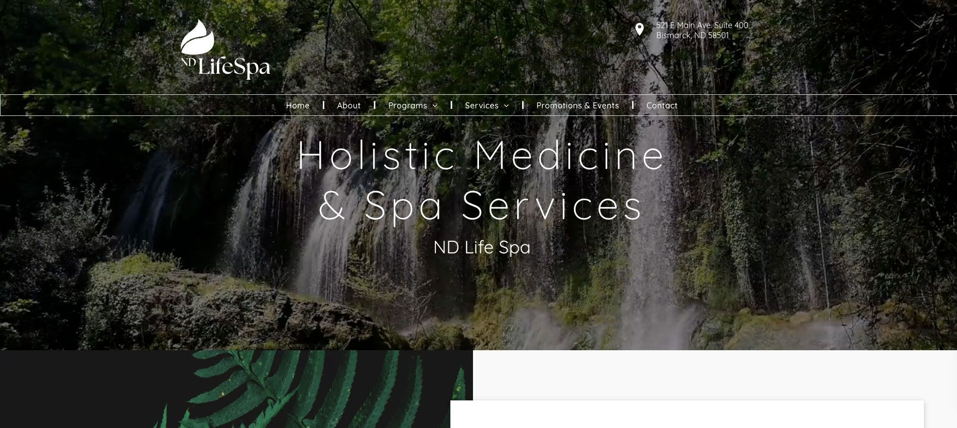 A website for holistic medicine and spa services with a waterfall in the background.