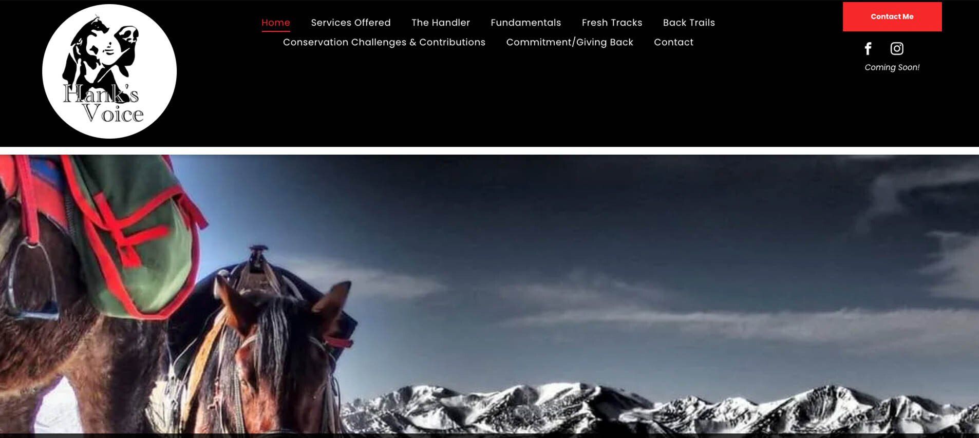 A horse with a saddle on it is standing on top of a mountain.