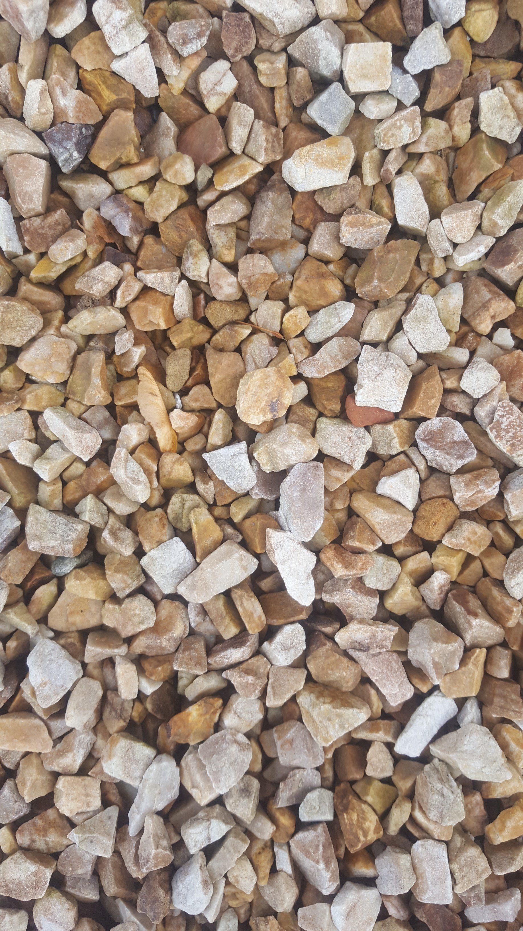 Spey Chip 20mm