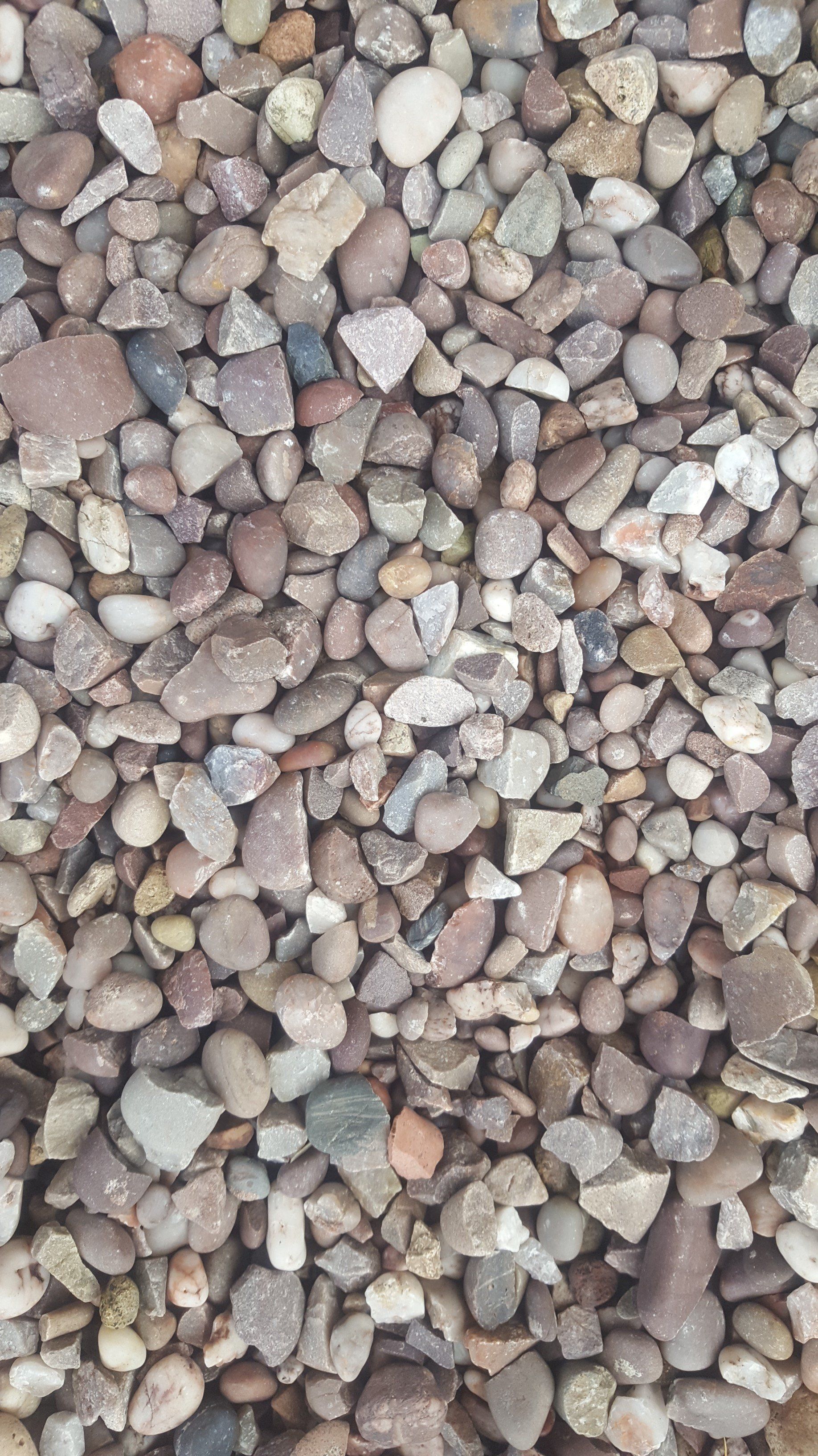Stafforfshire Pink 20mm