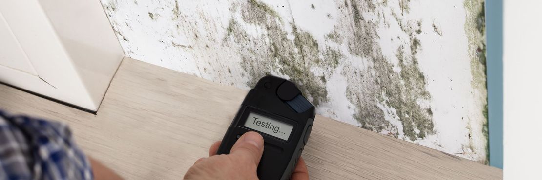 Handheld moisture meter testing damp, moldy wall next to a baseboard on a floor corner