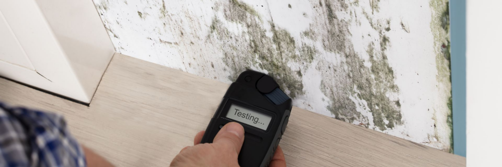 Handheld moisture meter testing damp, moldy wall next to a baseboard on a floor corner Handheld moisture meter testing damp, moldy wall next to a baseboard on a floor corner