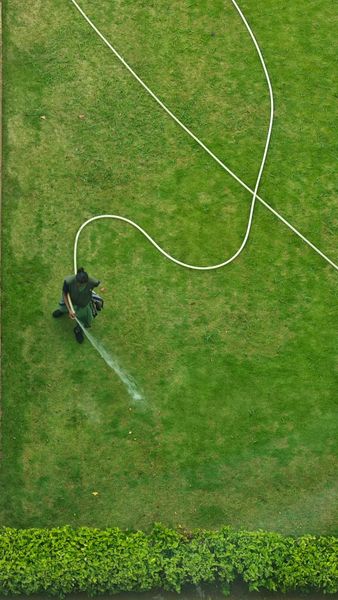 An aerial view of a person in black clothing standing on a green lawn, using a hose to water the grass.