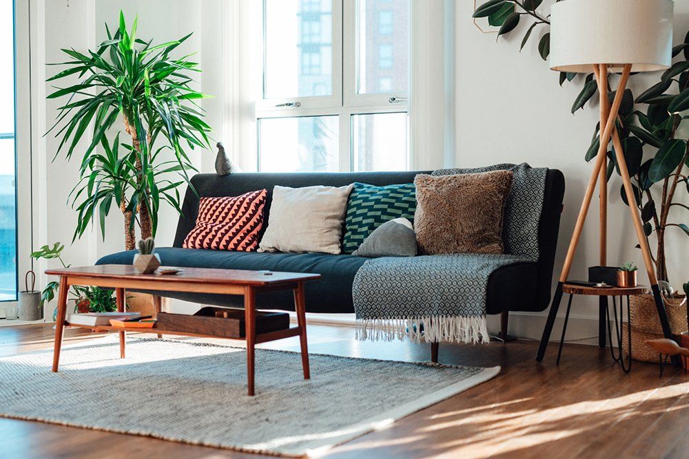 Upholstery Cleaning | Auburndale, FL | Wrights Floor & Rug Cleaners