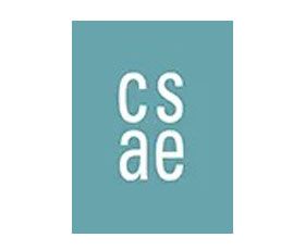 A blue square with the words cs ae on it