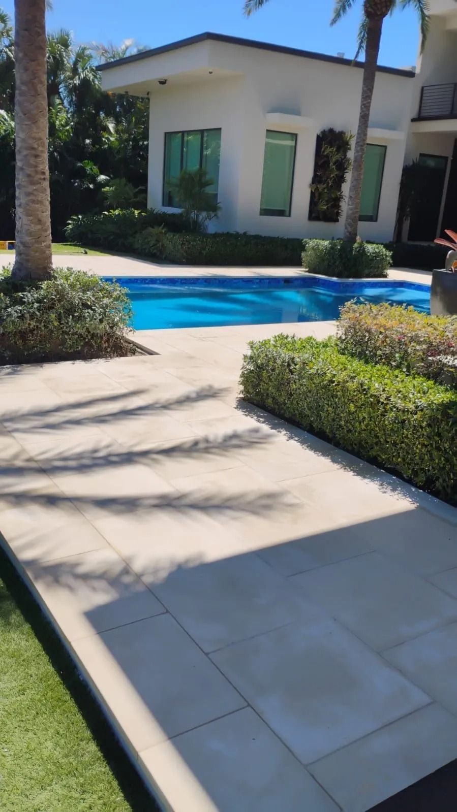 A sunlit patio features a swimming pool beside a modern white building, surrounded by green hedges and palm trees.
