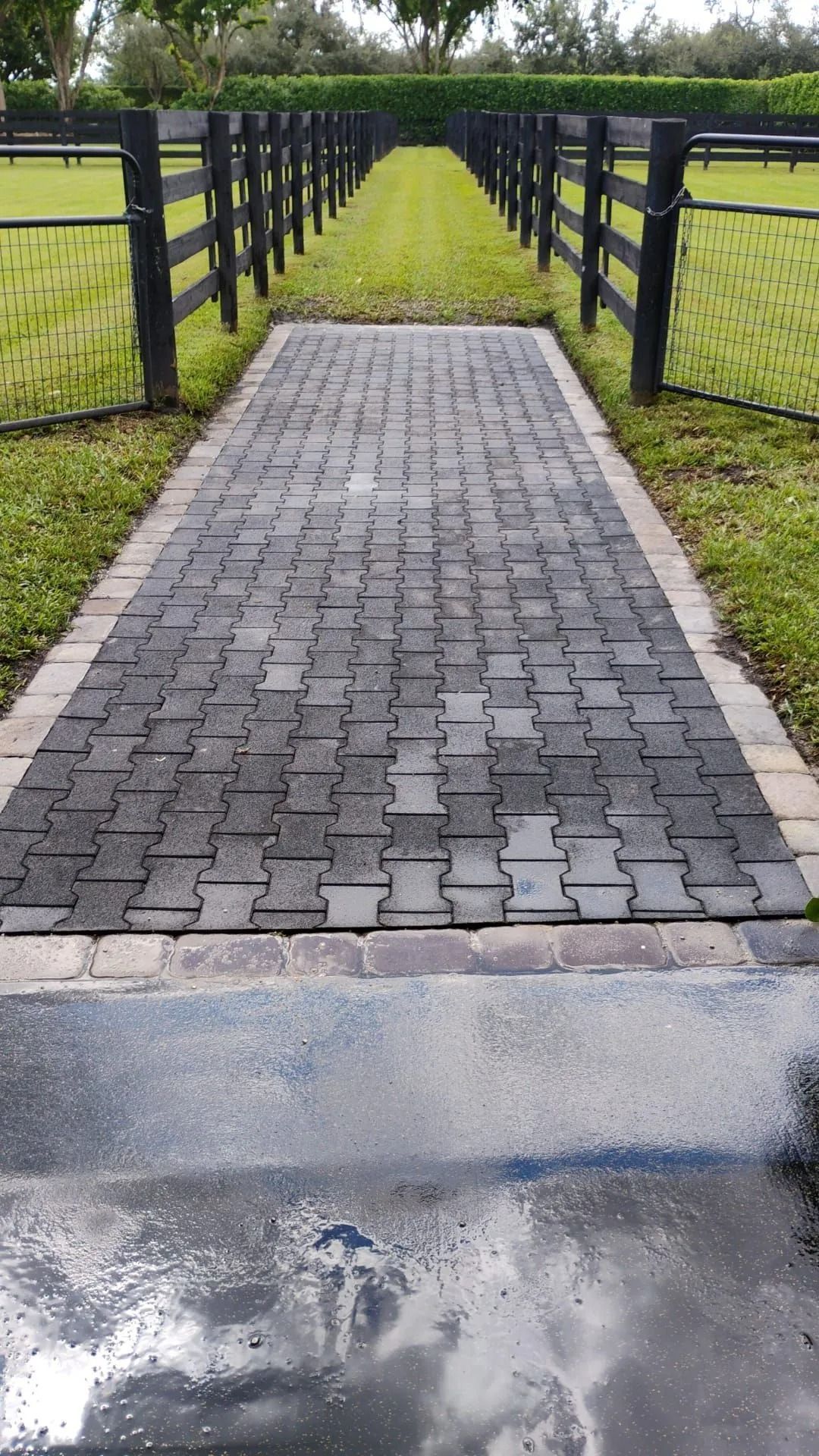 A gray brick walkway framed by black fences leads through a grassy pasture on a cloudy day.
