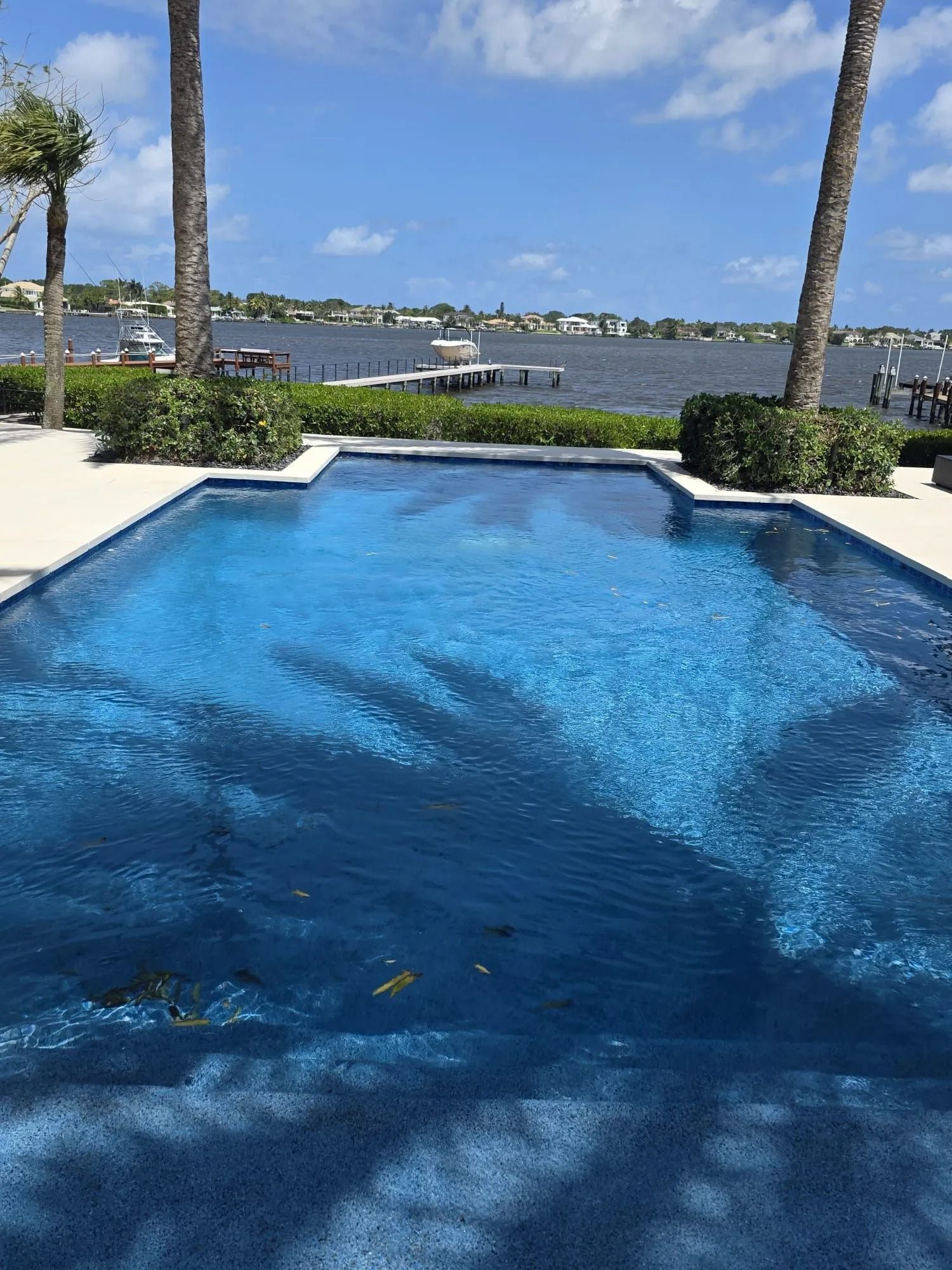 A bright blue swimming pool with palm tree shadows reflecting on the water, overlooking a bay with docks and blue sky.