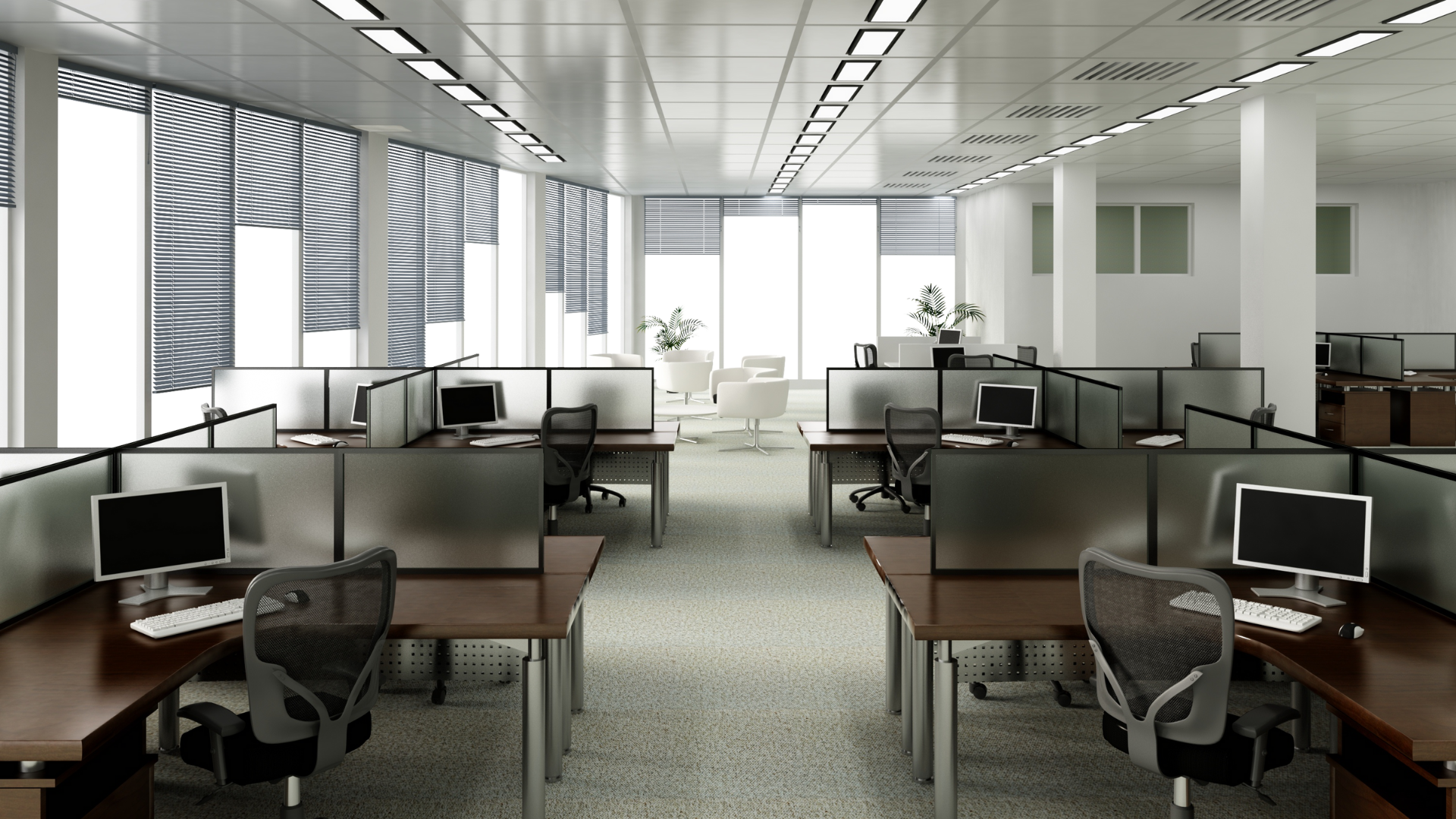 Office Pest Issues And Simple Ways To Avoid Them